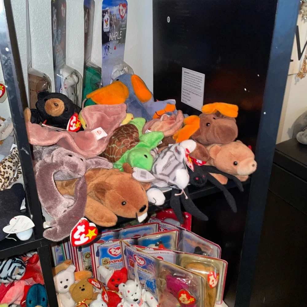 Ty Plush Toy Collection - YOU PICK!